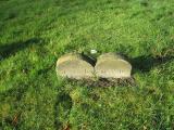 image of grave number 197480